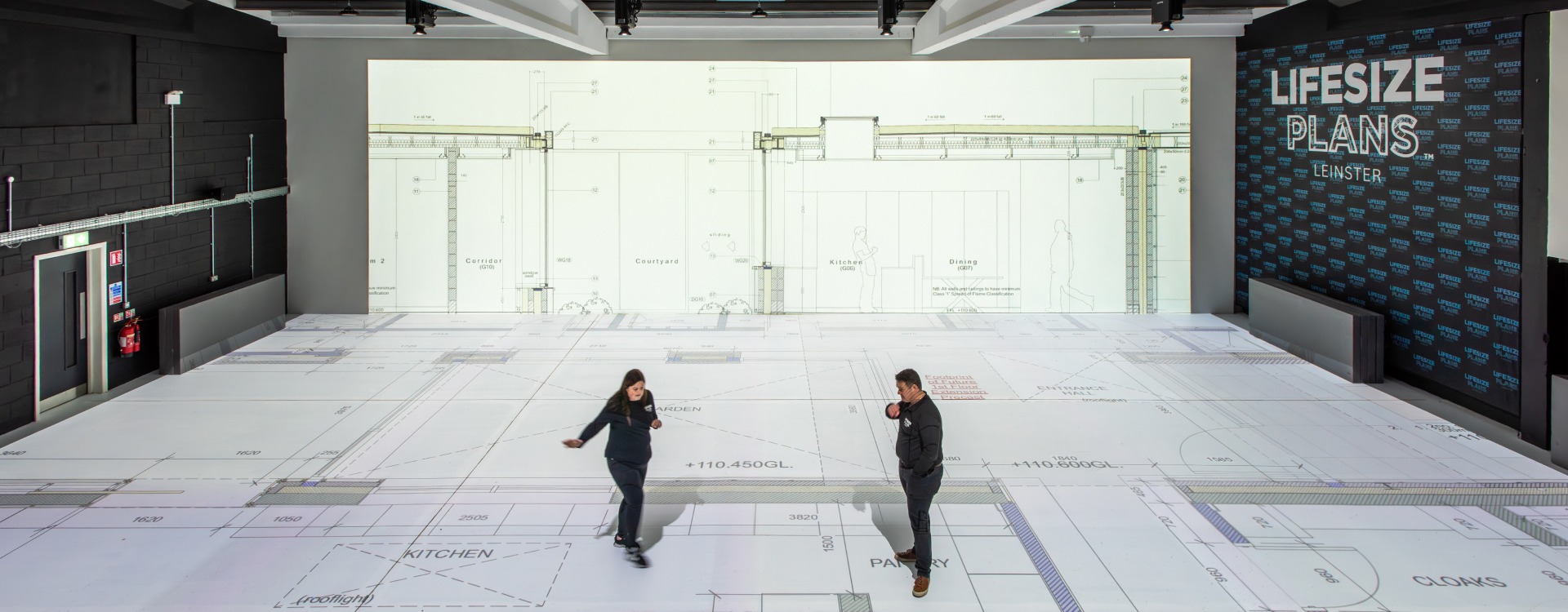 Lifesize Plans Ireland project